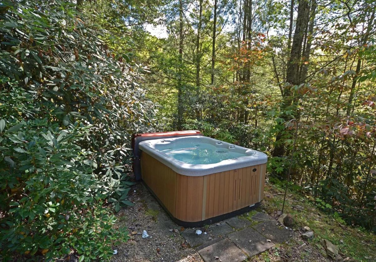 Sunshine Trail - image 6